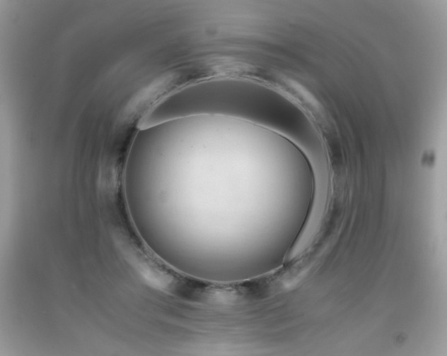 X0000091980405200709061359