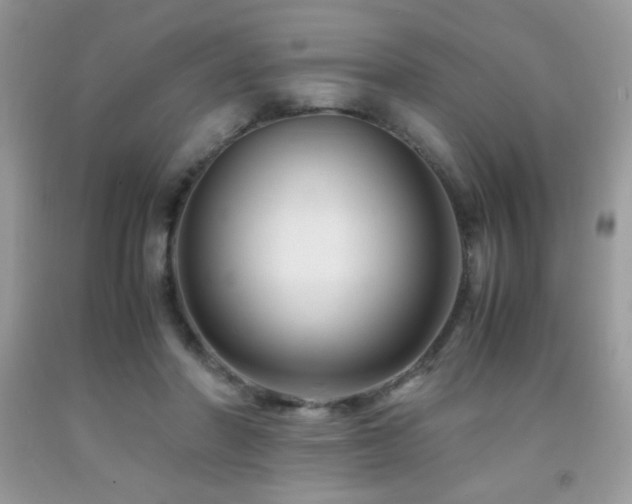 X0000091980406200709061359