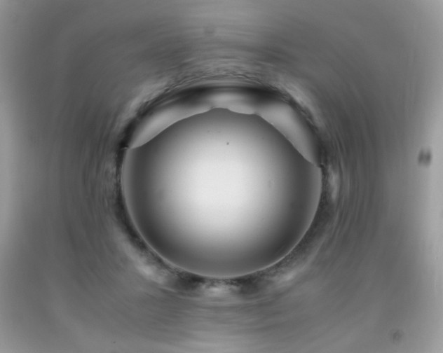 X0000091980407200709061359