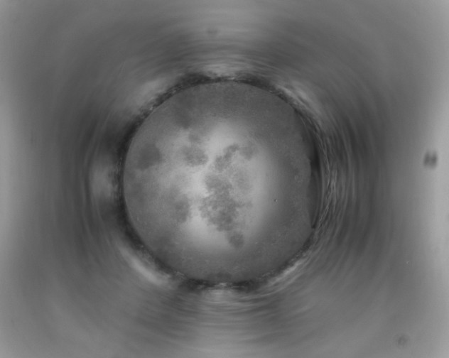 X0000091980408200709061359