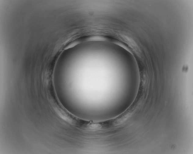 X0000091980409200709061359