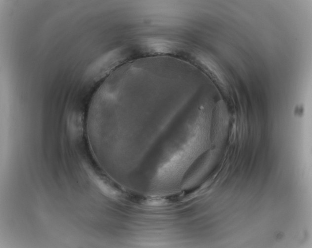 X0000091980410200709061359