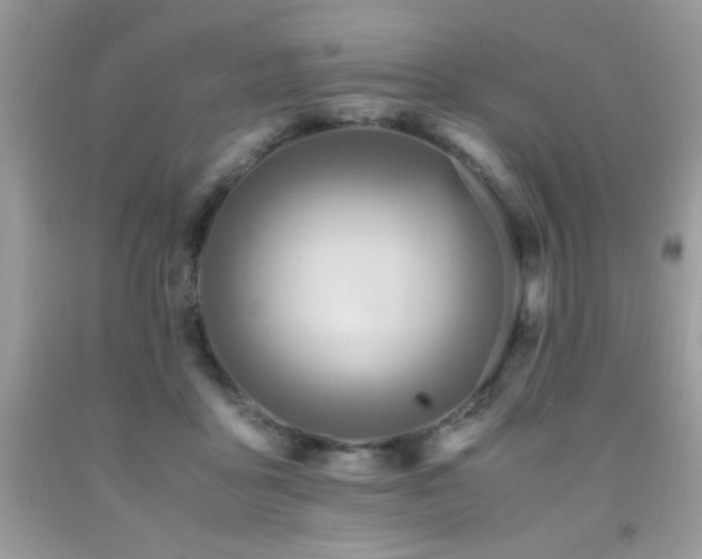 X0000091980411200709061359