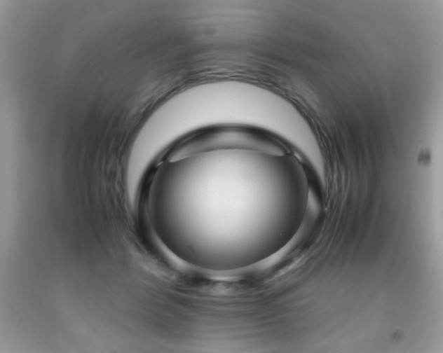 X0000091980412200709061359