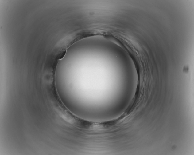 X0000091980413200709061359