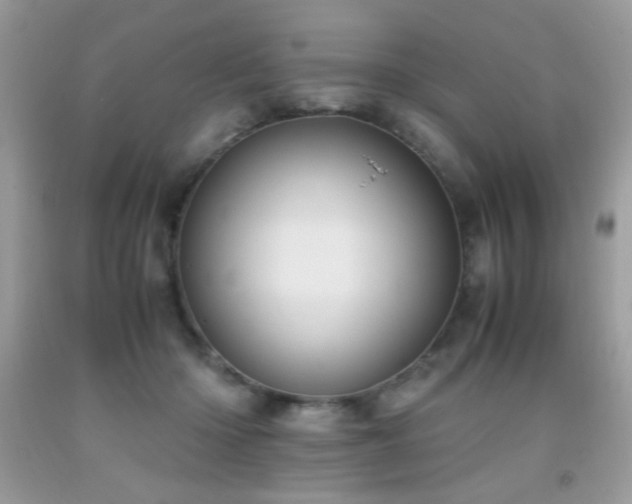 X0000091980414200709061359