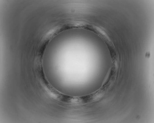 X0000091980415200709061359