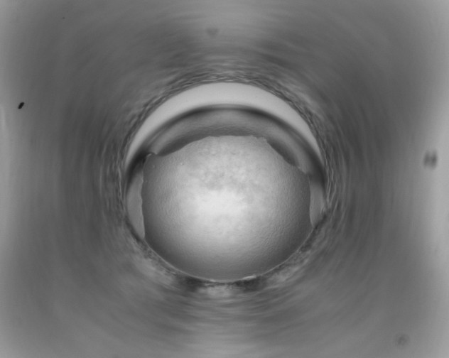 X0000091980417200709061359