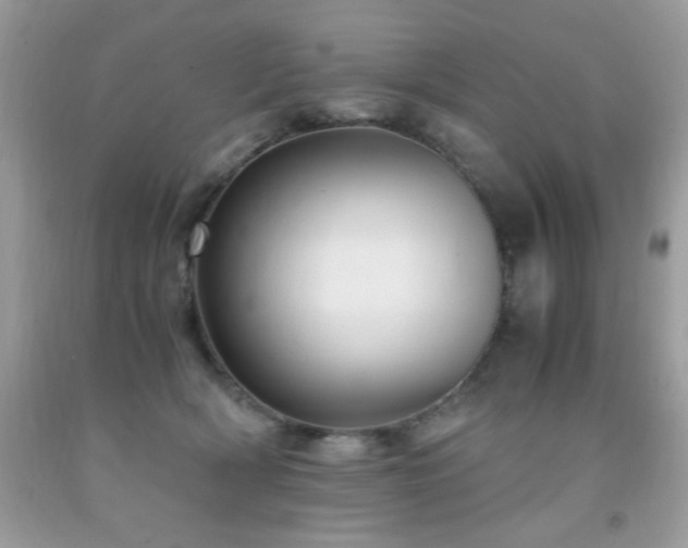 X0000091980418200709061359