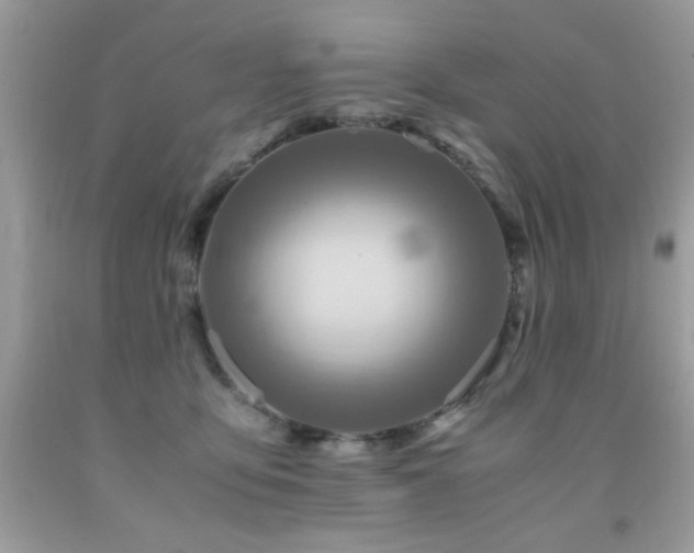 X0000091980419200709061359