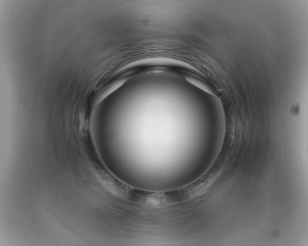 X0000091980420200709061359