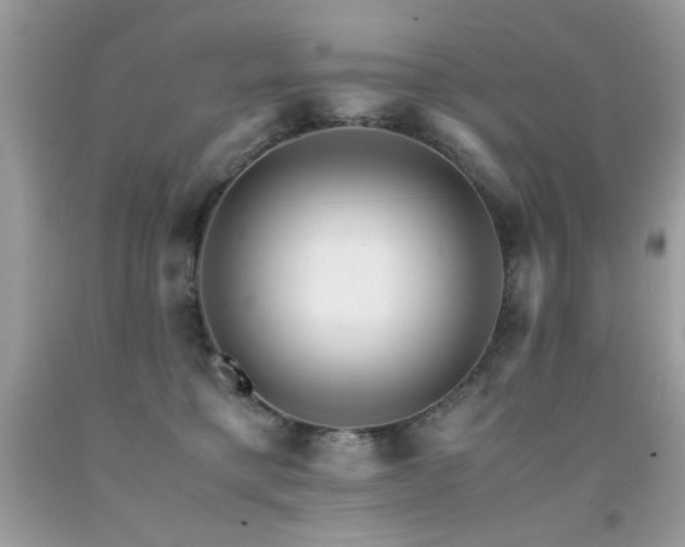 X0000091980421200709061359