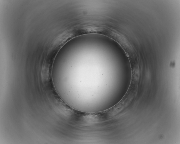 X0000091980422200709061359