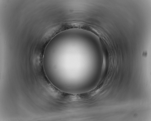 X0000091980424200709061359