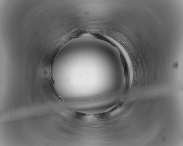X0000091980425200709061359