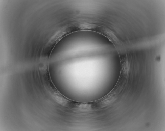 X0000091980426200709061359