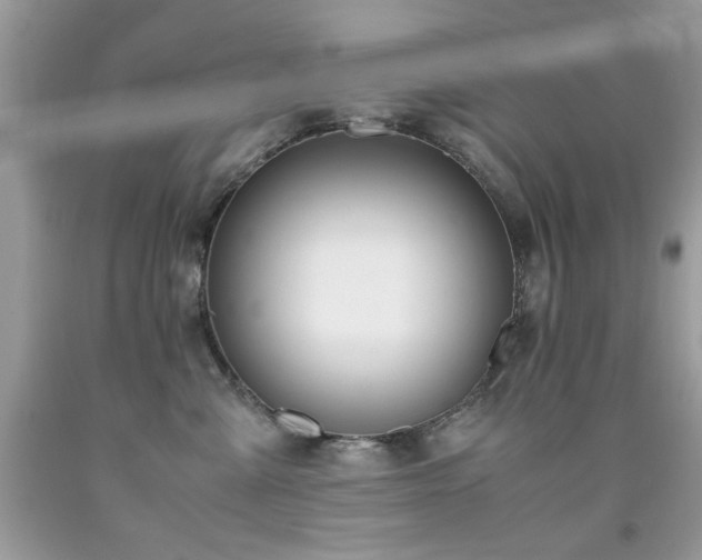 X0000091980427200709061359