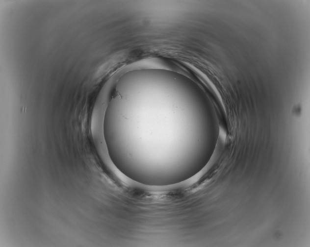 X0000091980428200709061359