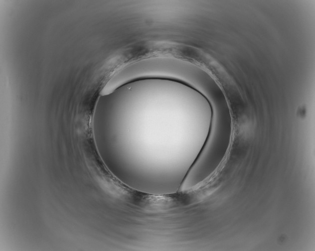 X0000091980429200709061359