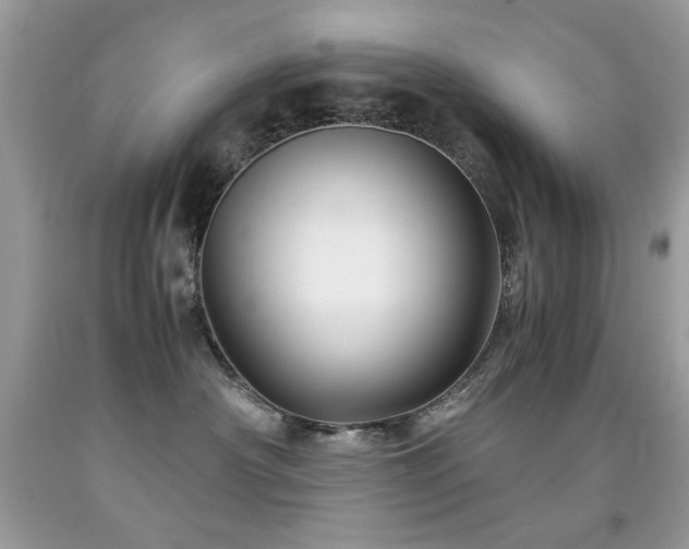 X0000091980430200709061359