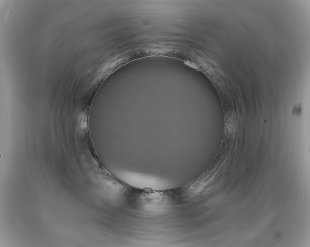 X0000091980431200709061359
