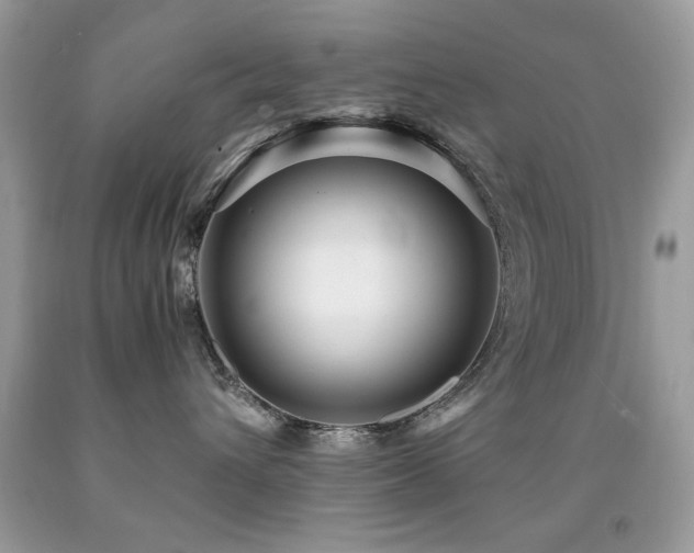 X0000091980432200709061359