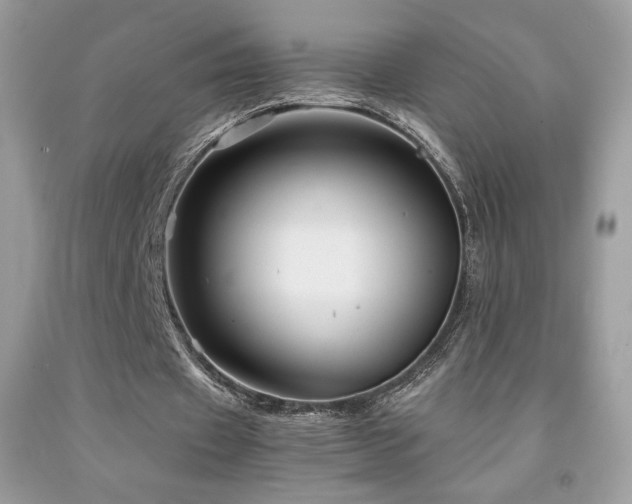 X0000091980433200709061358