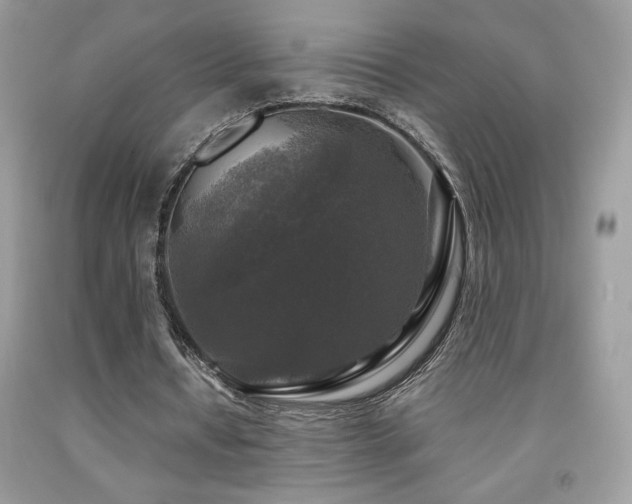 X0000091980434200709061358
