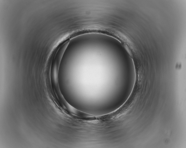 X0000091980436200709061358