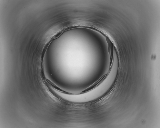 X0000091980437200709061358