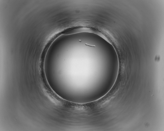 X0000091980439200709061358
