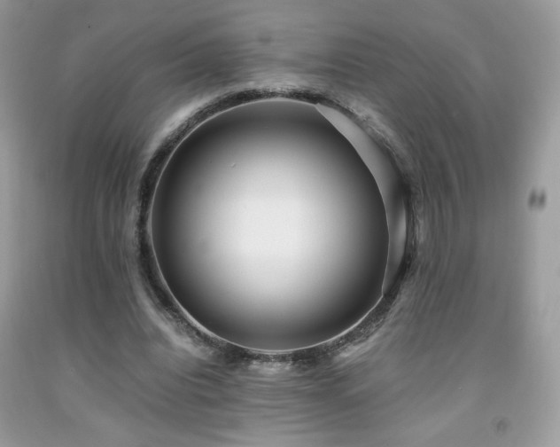 X0000091980440200709061358