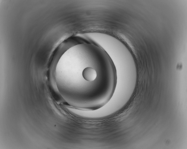 X0000091980443200709061358