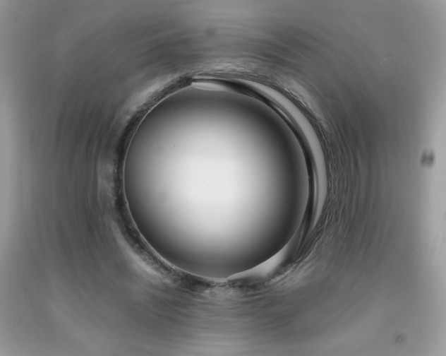 X0000091980444200709061358