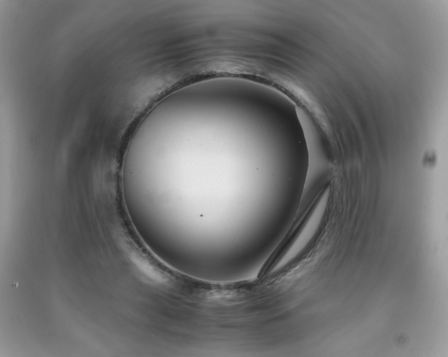 X0000091980445200709061358