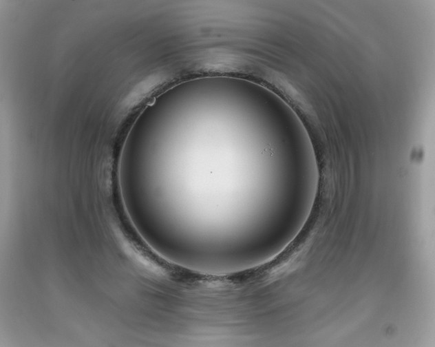 X0000091980446200709061358