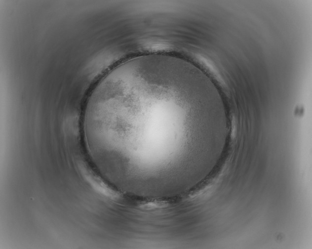 X0000091980447200709061358