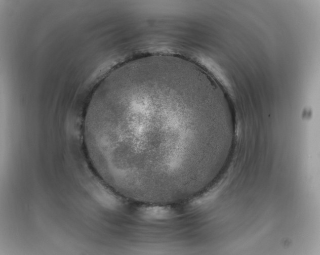 X0000091980449200709061358