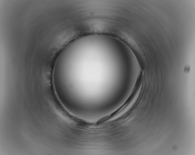 X0000091980450200709061358