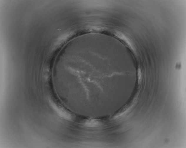X0000091980451200709061358