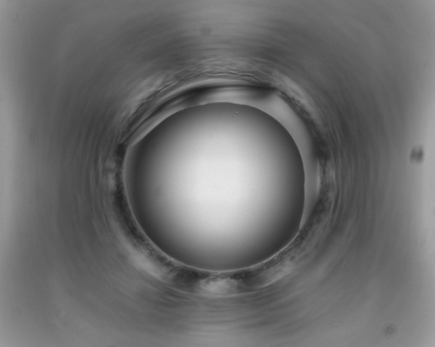 X0000091980452200709061358