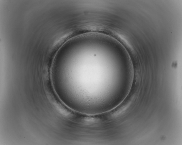 X0000091980453200709061358