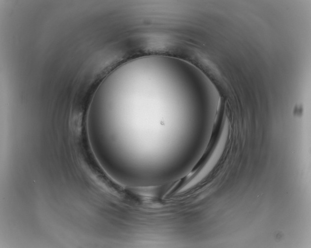 X0000091980454200709061358