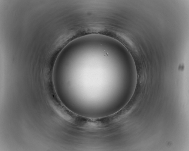X0000091980455200709061358