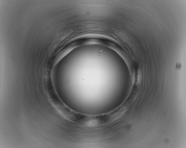 X0000091980456200709061358