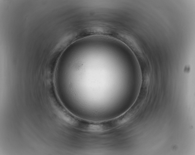 X0000091980457200709061358