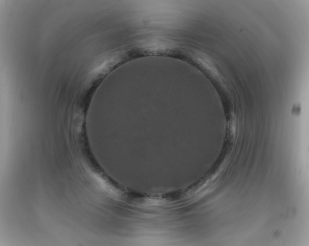 X0000091980458200709061358