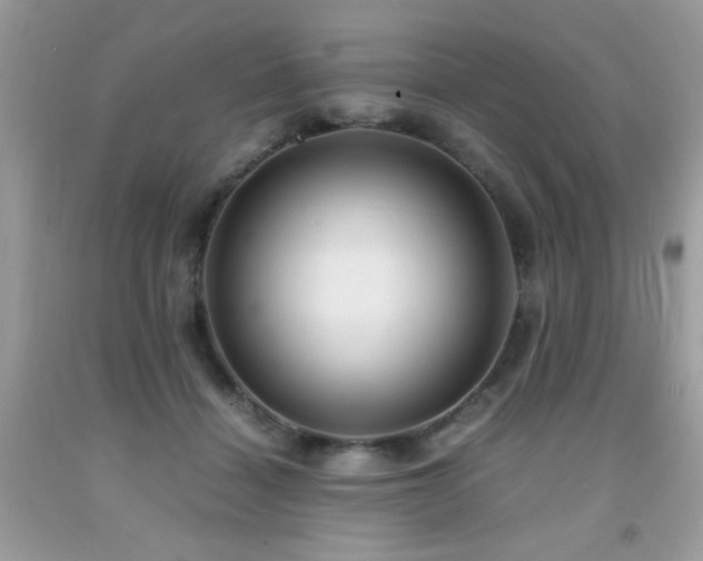 X0000091980460200709061358