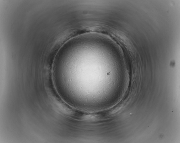 X0000091980461200709061359