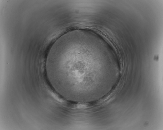 X0000091980462200709061359